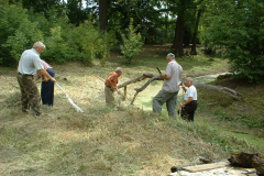 20090908_1017359843_dscf0011