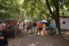 20090908_1164399217_dscf0030
