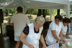 20090908_1773489331_dscf0043