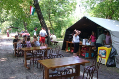 falunap2010023_20100816_1373918777