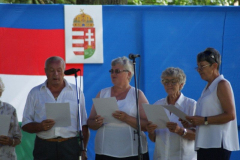 falunap2010045_20100816_1149075279