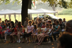 falunap2010100_20100816_1405693388