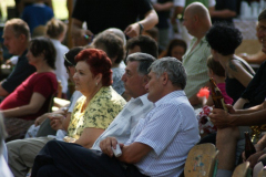 falunap2010109_20100816_2042225695