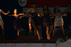 falunap2010114_20100816_1310670498