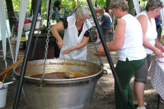 falunap201011_20100816_1228155890
