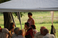 falunap2010120_20100816_1409956575