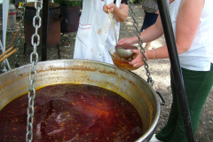 falunap201012_20100816_1158362741