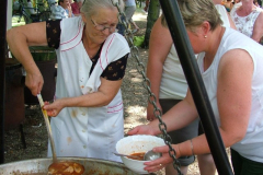 falunap201013_20100816_1942189669
