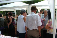 falunap201015_20100816_2054801767