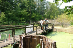 falunap201019_20100816_1010569566