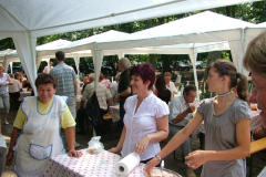 falunap201022_20100816_1409484332