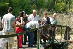 falunap201027_20100816_1849634353