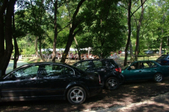 falunap20102_20100816_1179500340