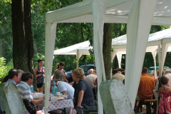falunap201031_20100816_2048309721