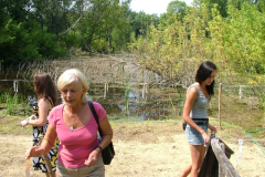 falunap201032_20100816_1692761863