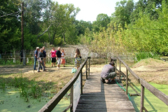 falunap201037_20100816_1565501188