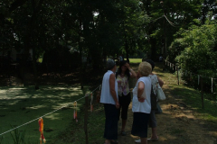 falunap201051_20100816_1720908147
