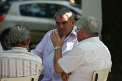 falunap201054_20100816_1925575176