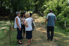 falunap20105_20100816_1233400169