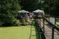 falunap20106_20100816_2004604851