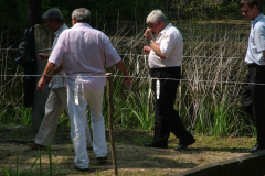 falunap201070_20100816_1515584942
