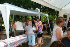 falunap201072_20100816_1311115640