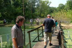 falunap201078_20100816_1324323515