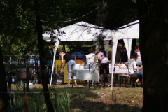 falunap201080_20100816_1221688674