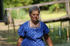 falunap201083_20100816_1139875504