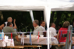 falunap201084_20100816_1212526638