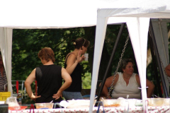 falunap201086_20100816_1659573256