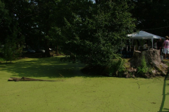 falunap20108_20100816_1436372413