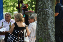falunap201090_20100816_1654345096