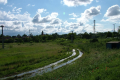 20100604_1133918809_dscf5145