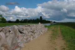 20100604_1303047895_dscf5133