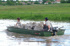 20100604_1334827041_dscf5109
