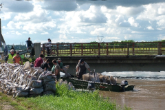 20100604_1613246148_dscf5147