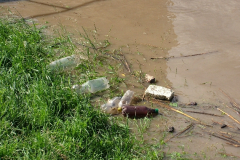 20100604_1621303385_dscf5143