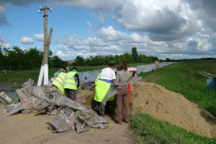 20100604_1850747835_dscf5083