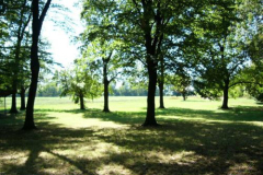 2007_nyar2_20070819_1169399754