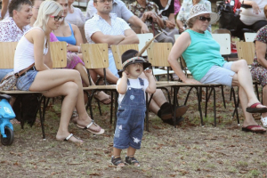 Falunap 2014.