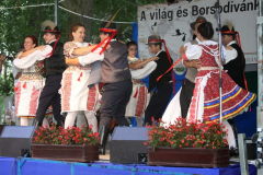 20140909_1029097849_falunap-2014-931