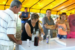 20140909_1106762798_falunap-2014-107