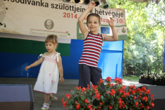 20140909_1324782701_falunap-2014-686