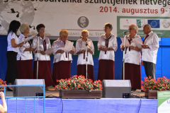 20140909_1331671186_falunap-2014-213