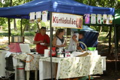 20140909_1355733853_falunap-2014-118