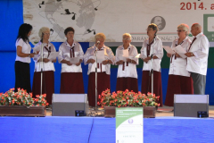 20140909_1426262164_falunap-2014-207