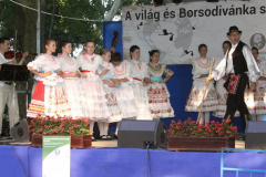 20140909_1477659355_falunap-2014-948