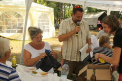 20140909_1575799230_falunap-2014-725