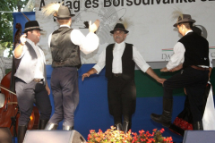 20140909_1623858960_falunap-2014-925